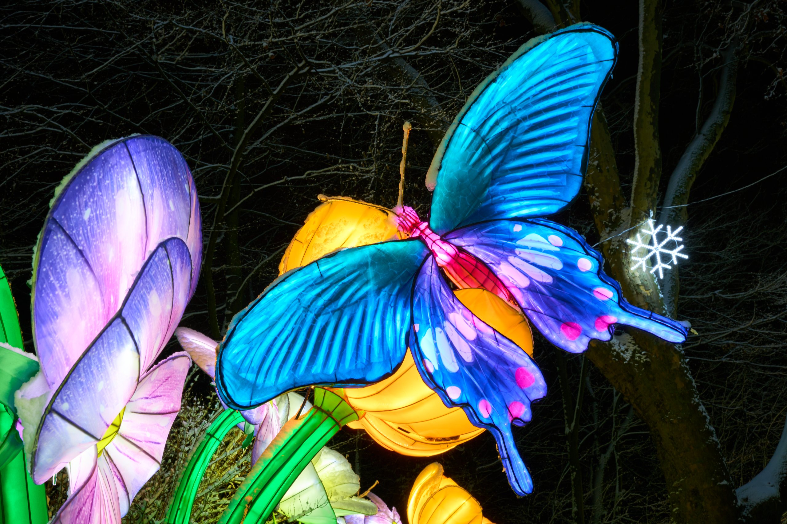 2026 01 05 China Lights 0170